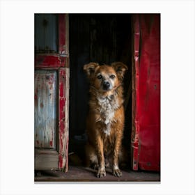 Dog In Doorway Canvas Print