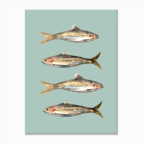 Sardines Green Watercolour Illustration Kitchen Fish Lienzo