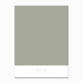 The Colour Block Collection - Sage Canvas Print