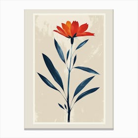 Namaqualand Daisy Groovy 18 Canvas Print