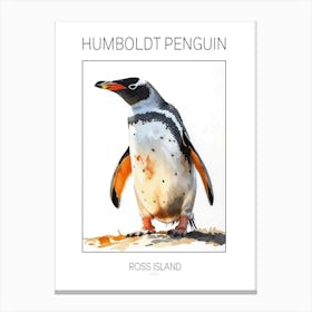 Humboldt Penguin Ross Island Watercolour Painting 1 Poster Canvas Print