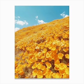 California Poppies Art Canvas Print