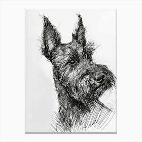 Scottish Terrier Dog Line Sketch 3 Canvas Print
