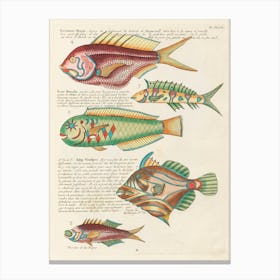 Colourful And Surreal Illustrations Of Fishes Found In Moluccas (Indonesia) And The East Indies, Louis Renard(62 Canvas Print