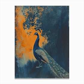 Blue & Orange Peacock By The Water Canvas Print