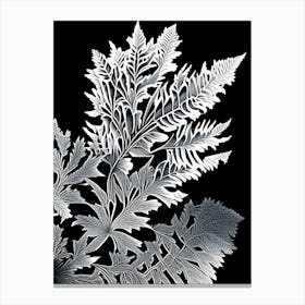 Tansy Leaf Linocut 3 Canvas Print