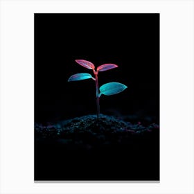 Small Plant In The Dark 3 Canvas Print