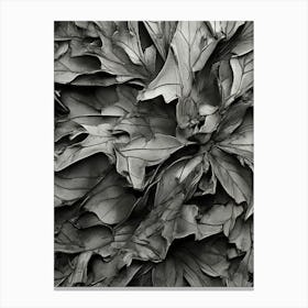 Leaves In Black And White Canvas Print