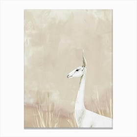 Antelope Canvas Print Canvas Print