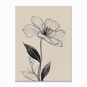 Lilies Line Art Flowers Illustration Neutral 2 Canvas Print
