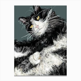 Jeffery The Black And White Cat Canvas Print