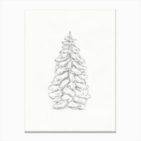 Fir Christmas Tree Sketch Canvas Print