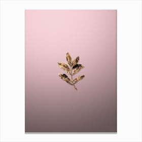 Gold Botanical Buxus Colchica Twig on Rose Quartz n.2703 Canvas Print