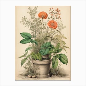 Orange Flowers In A Pot Canvas Print