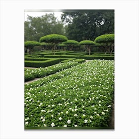 White Flower Garden Canvas Print