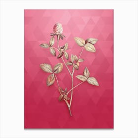 Vintage Pink Clover Botanical in Gold on Viva Magenta n.0373 Canvas Print