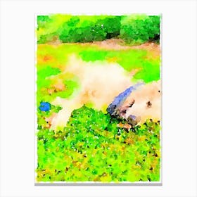 Dog In The Grass Canvas Print