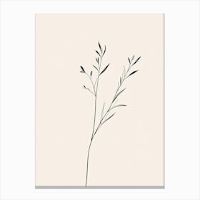 Simple Drawing Of A Plant Canvas Print