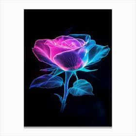 Pink And Blue Rose Canvas Print