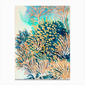 Acropora Millepora 3 Vintage Graphic Watercolour Canvas Print