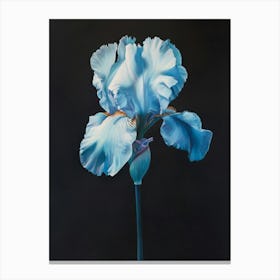 2024 May Poster Canvas Sng Iris 19 Canvas Print