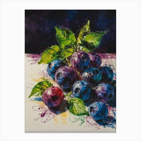 Blueberries Canvas Print