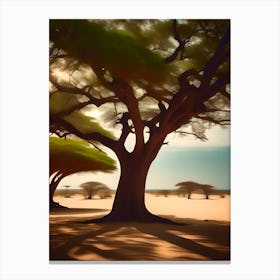 African Biggest Tree Canvas Print