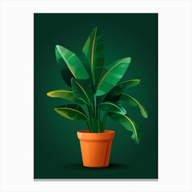 Banana Plant In A Pot 1 Canvas Print