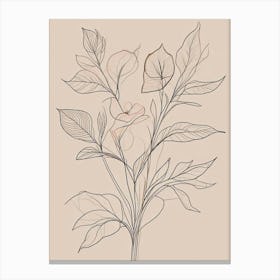 Floral Line Art Print (4) Canvas Print