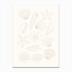 Shells - Beige Canvas Print