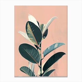 Rubber Plant Minimalist Illustration 3 Canvas Print