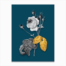 Vintage Cabbage Rose Black and White Gold Leaf Floral Art on Teal Blue n.0382 Canvas Print
