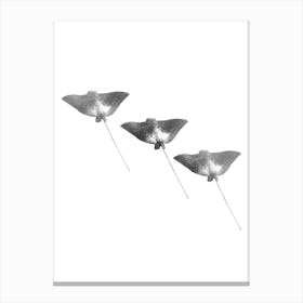 Spotted Eagle Ray Black and White Abstract Minimalist Boho Marine Life Art Print Canvas Print