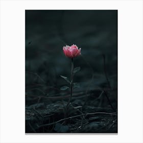 Rose In The Dark 35 Canvas Print