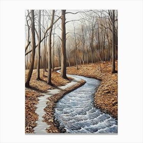 Stream In The Woods 4 Canvas Print