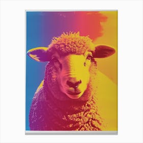 Polaroid Sheep Portrait 2 Canvas Print