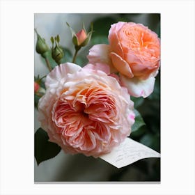 English Roses Painting Romantic 3 Canvas Print