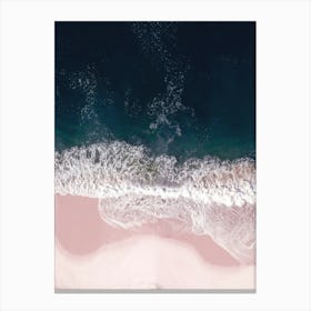 Sands Of Pearly Pink Canvas Print