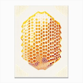 Honeycomb Background Vintage Canvas Print