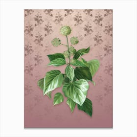 Vintage Common Ivy Botanical on Dusty Pink Pattern n.1664 Canvas Print