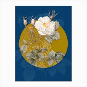 Vintage Botanical White Rose of York on Circle Yellow on Blue Canvas Print