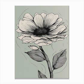 Line Art Sunflower Flowers Illustration Neutral 5 Canvas Print