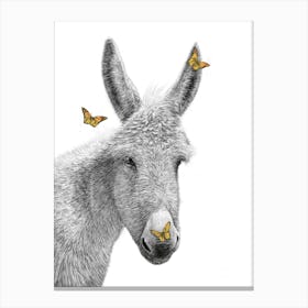 Donkey With Butterfly Canvas Print