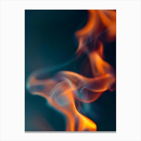 Flames On Black Background Canvas Print