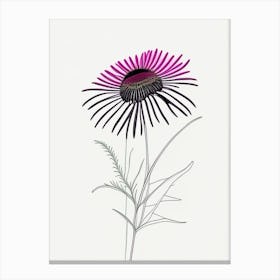 Echinacea Floral Minimal Line Drawing 2 Flower Canvas Print