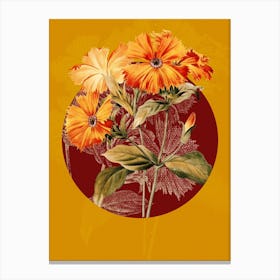 Vintage Botanical Lychnis Grandiflora on Circle Red on Yellow n.0306 Canvas Print