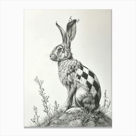 Checkered Giant Rabbit Drawing 2 Canvas Print
