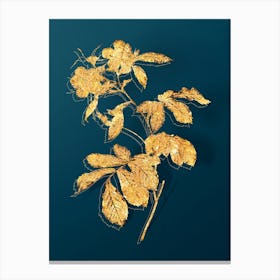 Vintage Pink Alpine Roses Botanical in Gold on Teal Blue n.0141 Canvas Print