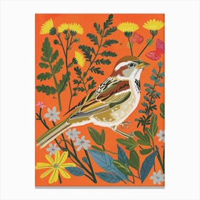 Spring Birds Sparrow 3 Canvas Print