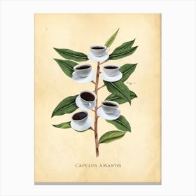 Modern Botanical Coffee Canvas Print